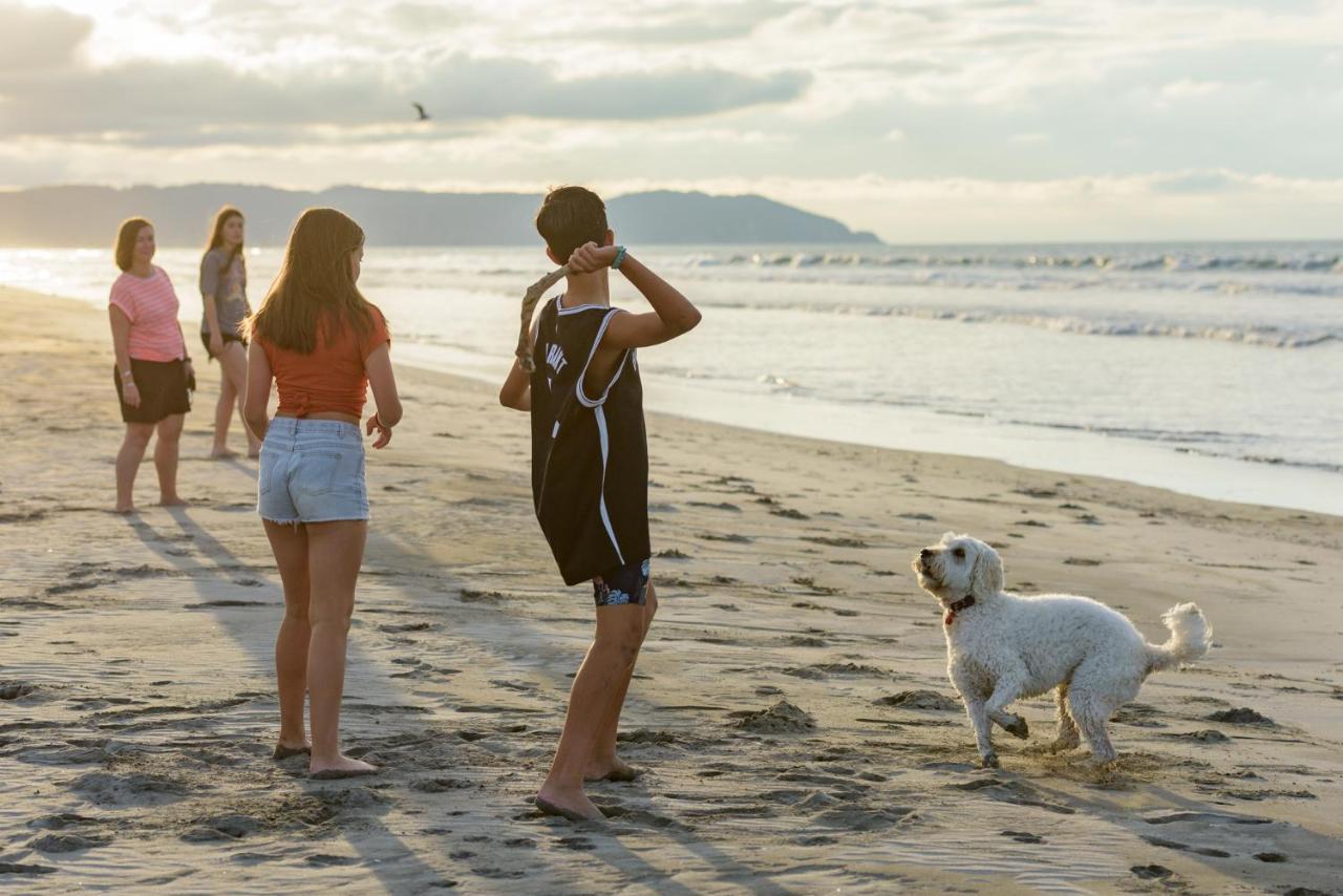 Ohope Beach Top 10 Holiday Park ภายนอก รูปภาพ